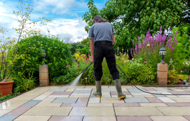 Best Driveway Pressure Washing  in Galeville, NY